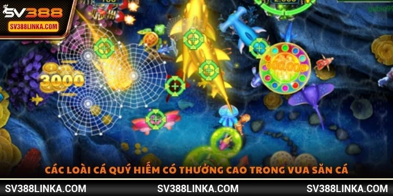 Các loài cá quý hiếm có thưởng cao trong Vua Săn Cá